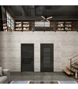 Ganzglastür Loft Schwarzlack 01 Auf Grauglas