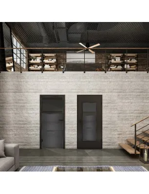 Ganzglastür Loft Schwarzeisen Genietet 15 Auf Grauglas