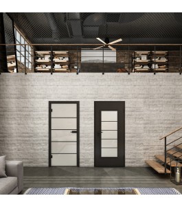 Ganzglastür Loft Schwarzlack 01 Blickdicht-modernes Zuhause