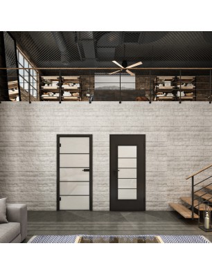 Ganzglastür Loft Schwarzlack 01 Blickdicht-modernes Zuhause