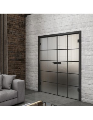 Ganzglastür Loft Schwarzlack 05 Blickdicht-modernes Zuhause