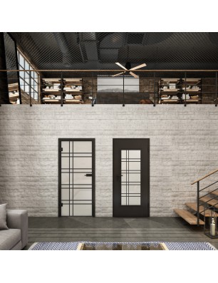 Ganzglastür Loft Schwarzlack 19 Blickdicht-modernes Zuhause