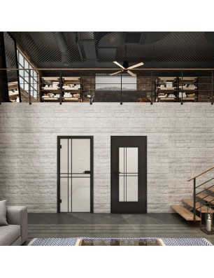 Ganzglastür Loft Schwarzlack 21 Blickdicht-modernes Zuhause