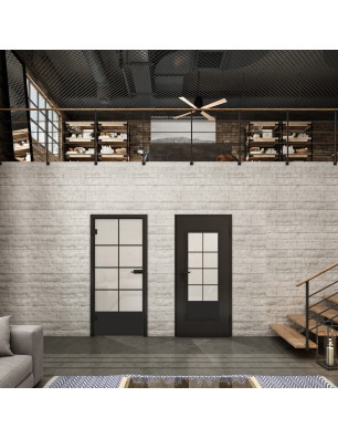 Ganzglastür Loft Schwarzlack 34 Blickdicht-modernes Zuhause