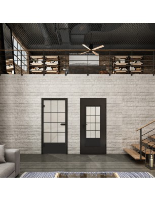 Ganzglastür Loft Schwarzlack 37 Blickdicht-modernes Zuhause