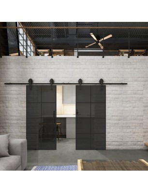 Glasschiebetür BARN-LINE Loft Schwarzlack 06 Auf Grauglas