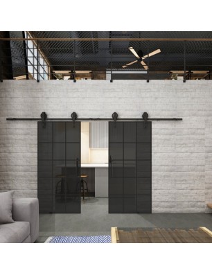 Glasschiebetür BARN-LINE Loft Schwarzlack 09 Auf Grauglas