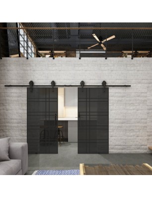 Glasschiebetür BARN-LINE Loft Schwarzlack 19 Auf Grauglas