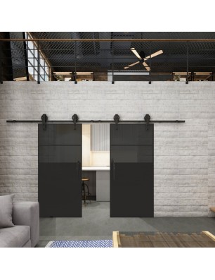 Glasschiebetür BARN-LINE Loft Schwarzlack 22 Auf Grauglas