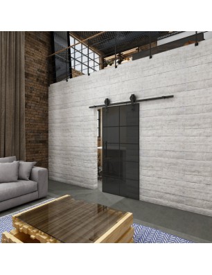 Glasschiebetür BARN-LINE Loft Schwarzlack 05 Auf Grauglas