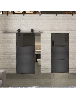 Glasschiebetür BARN-LINE Loft Schwarzeisen Genietet 15 Auf Grauglas
