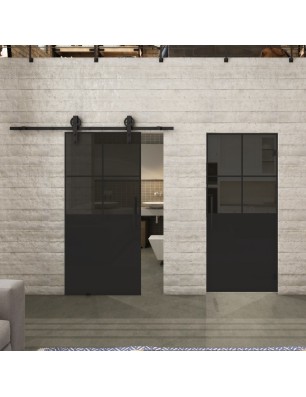 Pendeltür Loft Schwarzlack 24 Auf Grauglas-modernes Zuhause