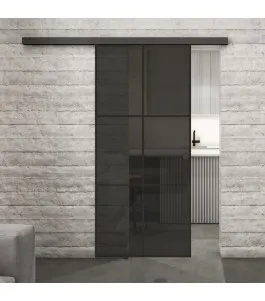 Glasschiebetür BLACK-LINE Loft Schwarzlack 07 Auf Grauglas