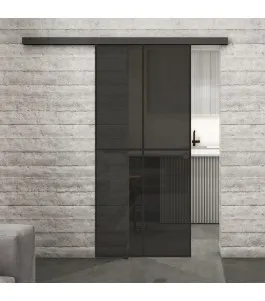 Glasschiebetür BLACK-LINE Loft Schwarzlack 08 Auf Grauglas