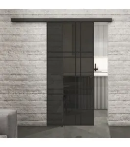Glasschiebetür BLACK-LINE Loft Schwarzlack 20 Auf Grauglas