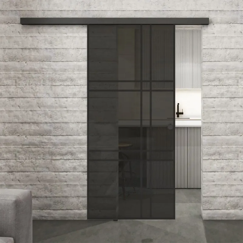 Glasschiebetür BLACK-LINE Loft Schwarzlack 20 Auf Grauglas