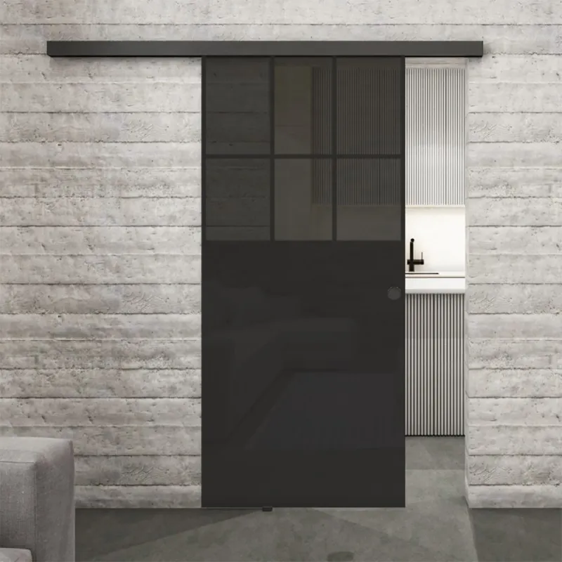 Glasschiebetür BLACK-LINE Loft Schwarzlack 27 Auf Grauglas