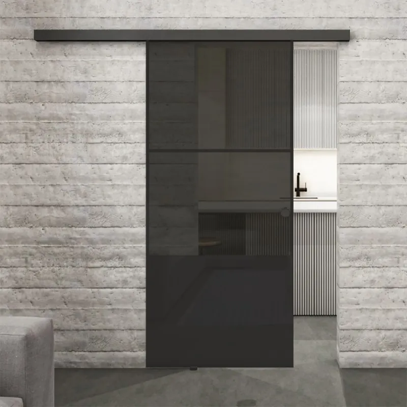 Glasschiebetür BLACK-LINE Loft Schwarzlack 33 Auf Grauglas