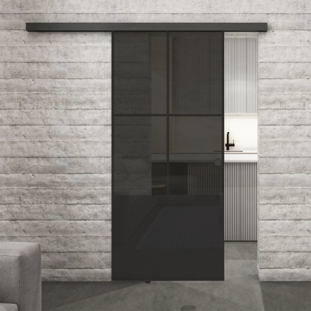 Glasschiebetür BLACK-LINE Loft Schwarzlack 36 Auf Grauglas