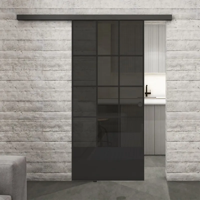Glasschiebetür BLACK-LINE Loft Schwarzlack 37 Auf Grauglas