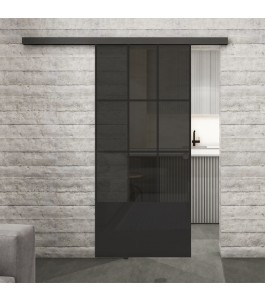 Glasschiebetür BLACK-LINE Loft Schwarzlack 38 Auf Grauglas