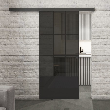 Glasschiebetür BLACK-LINE Loft Schwarzlack 38 Auf Grauglas