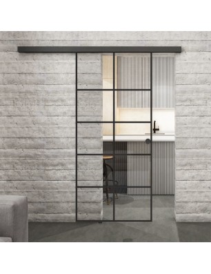 Glasschiebetür BLACK-LINE Loft Schwarzlack 05 Auf Klarglas