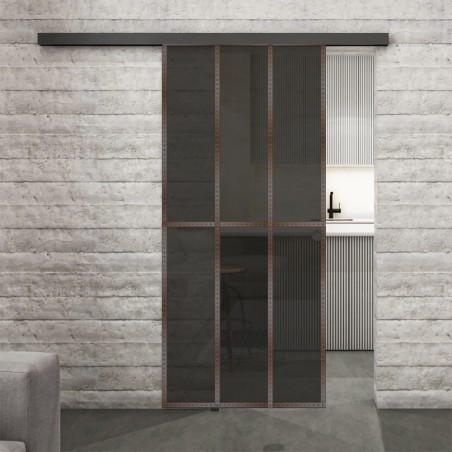 Glasschiebetür BLACK-LINE Loft Rosteisen Genietet 12 Auf Grauglas