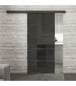Glasschiebetür BLACK-LINE Loft Schwarzeisen Genietet 01 Auf Grauglas