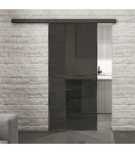 Glasschiebetür BLACK-LINE Loft Schwarzeisen Genietet 04 Auf Grauglas