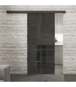 Glasschiebetür BLACK-LINE Loft Schwarzeisen Genietet 05 Auf Grauglas