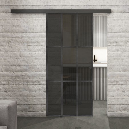Glasschiebetür BLACK-LINE Loft Schwarzeisen Genietet 11 Auf Grauglas