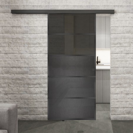 Glasschiebetür BLACK-LINE Loft Schwarzeisen Genietet 13 Auf Grauglas