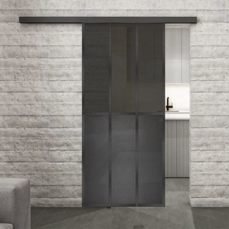 Glasschiebetür BLACK-LINE Loft Schwarzeisen Genietet 24 Auf Grauglas