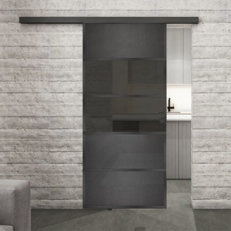 Glasschiebetür BLACK-LINE Loft Schwarzeisen Genietet 25 Auf Grauglas