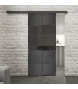 Glasschiebetür BLACK-LINE Loft Schwarzeisen Genietet 28 Auf Grauglas