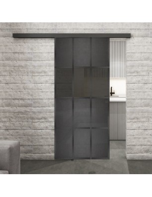 Glasschiebetür BLACK-LINE Loft Schwarzeisen Genietet 32 Auf Grauglas