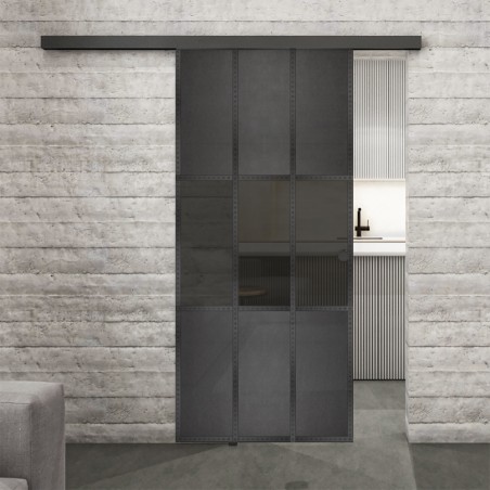 Glasschiebetür BLACK-LINE Loft Schwarzeisen Genietet 33 Auf Grauglas