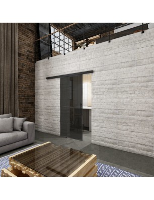 Glasschiebetür BLACK-LINE Loft Schwarzeisen Genietet 04 Auf Grauglas