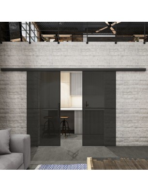 Glasschiebetür BLACK-LINE Loft Schwarzlack 04 Auf Grauglas