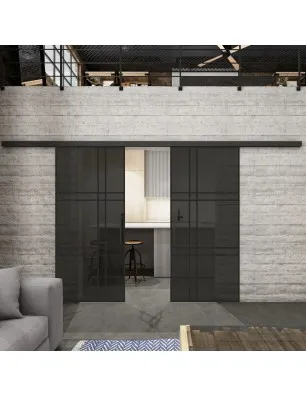 Glasschiebetür BLACK-LINE Loft Schwarzlack 20 Auf Grauglas