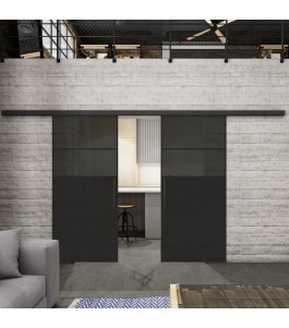 Glasschiebetür BLACK-LINE Loft Schwarzlack 22 Auf Grauglas