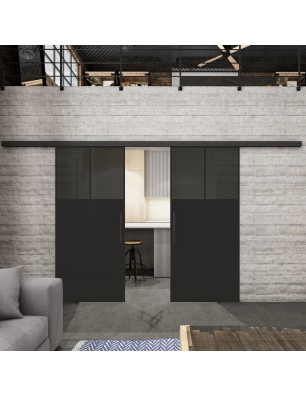 Glasschiebetür BLACK-LINE Loft Schwarzlack 25 Auf Grauglas
