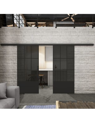 Glasschiebetür BLACK-LINE Loft Schwarzlack 38 Auf Grauglas