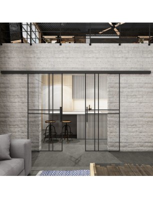 Glasschiebetür BLACK-LINE Loft Schwarzlack 21 Auf Klarglas