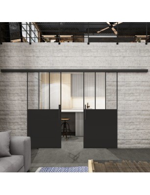 Glasschiebetür BLACK-LINE Loft Schwarzlack 30 Auf Klarglas