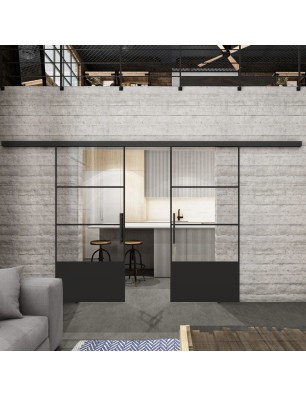 Glasschiebetür BLACK-LINE Loft Schwarzlack 32 Auf Klarglas