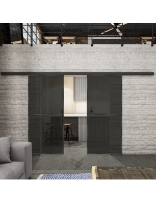 Glasschiebetür BLACK-LINE Loft Schwarzeisen Genietet 04 Auf Grauglas