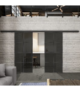 Glasschiebetür BLACK-LINE Loft Schwarzeisen Genietet 06 Auf Grauglas