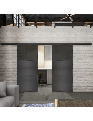 Glasschiebetür BLACK-LINE Loft Schwarzeisen Genietet 15 Auf Grauglas